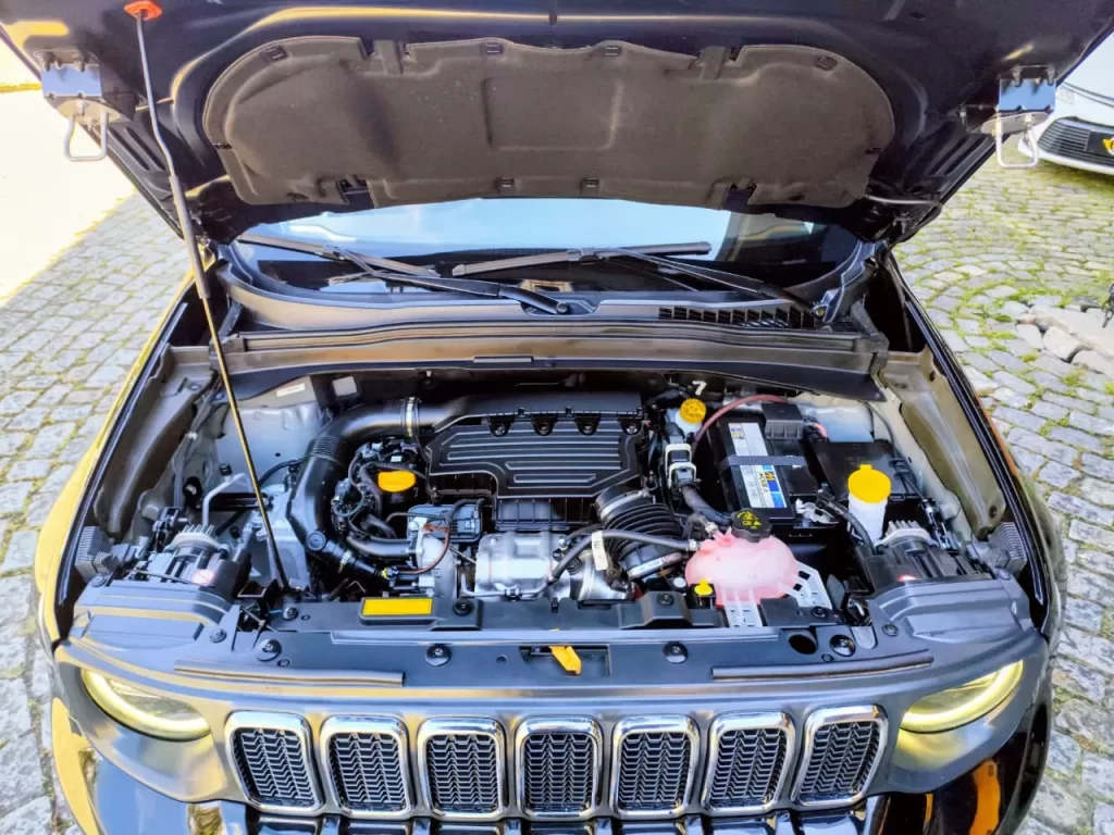 RENEGADE SAHARA 8